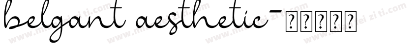 belgant aesthetic字体转换